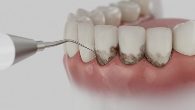 Reliable Dental contractor in Leonardtown, MD by Dentist Open Now